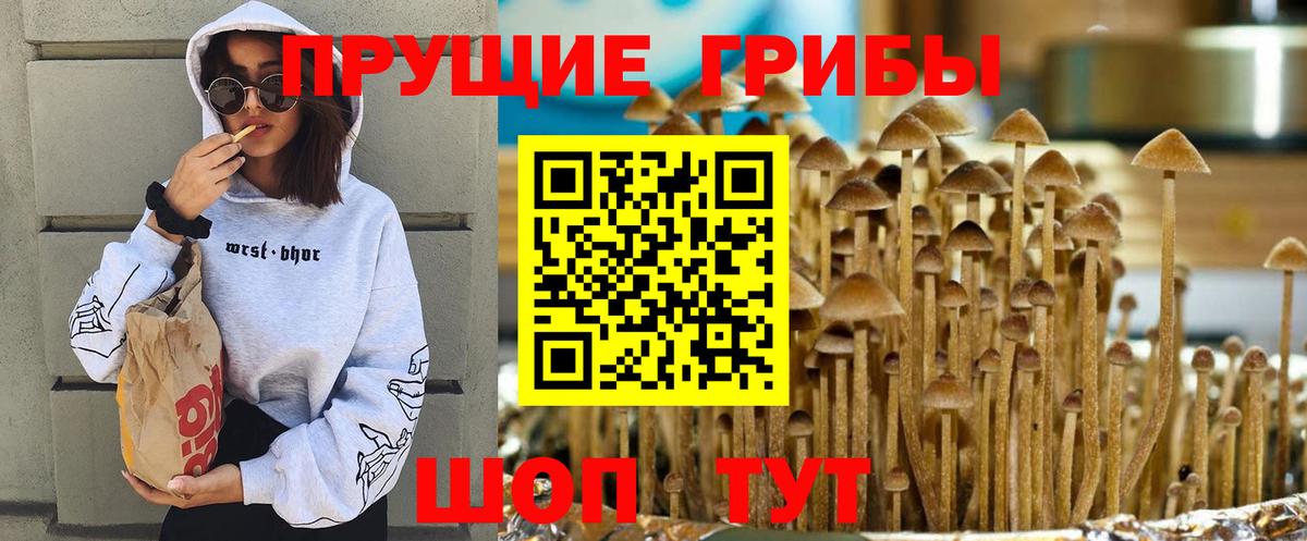 Псилоцибиновые грибы GOLDEN TEACHER Вязники